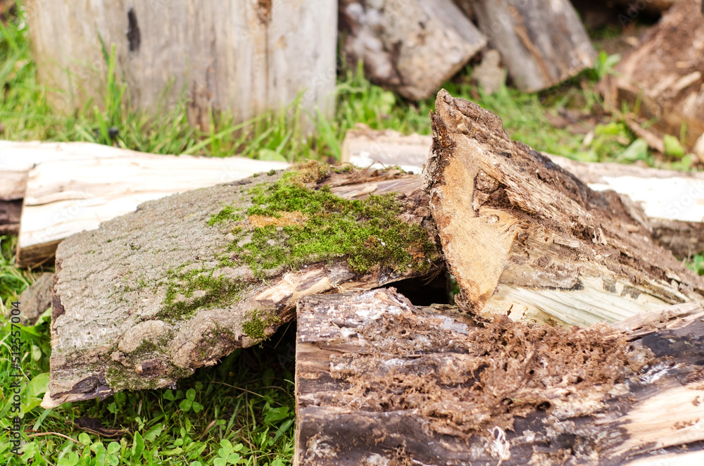 Preparation of firewood for heating the house, fireplace in winter Preparation of firewood for heating the house, fireplace in winter