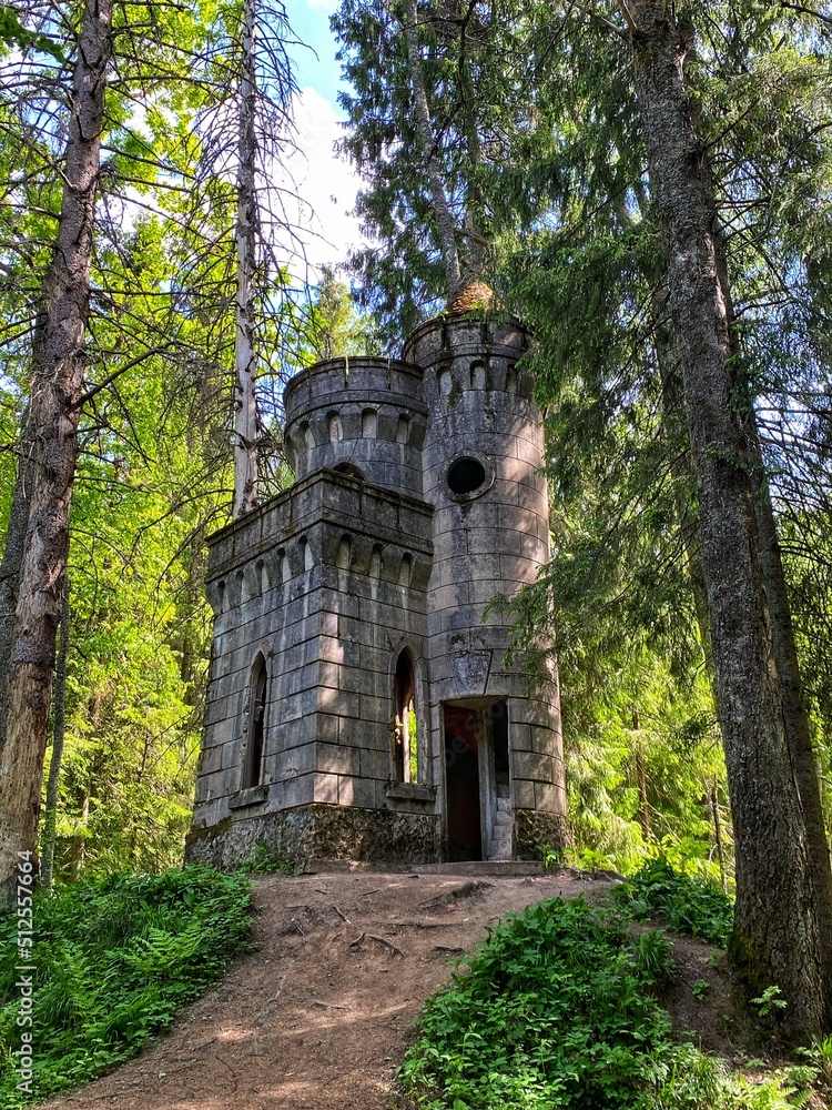 Obraz premium castle ruins