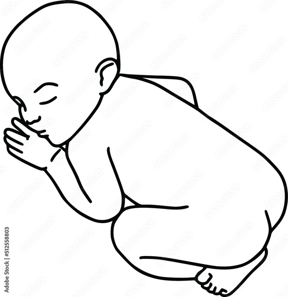 Line art drawing illustration of a baby. Abstract vector minimalist line drawing of small cute sleeping baby.