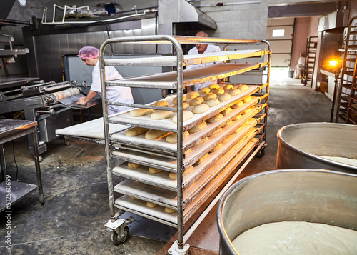 Worker in a large bakery - industrial production of bakery products on an assembly line - Teamwork woman and man at workplace