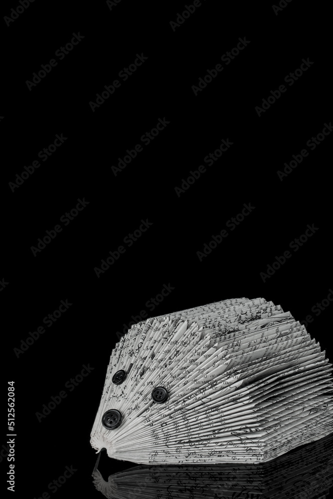 Obraz premium hand made hedgehog book on black background