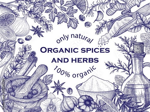 Vector frame of spices and herbs. Rosemary, peppercorns, lavender, anise, cinnamon, onion, mint, lemon, chili, curry, parsley, garlic, dill, curry, ginger, saffron, basil, vanilla, olive oil
