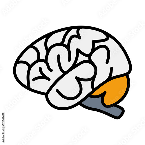 Brain Icon