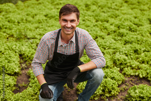 Obraz na plátně Cheerful male gardener in lettuce field
