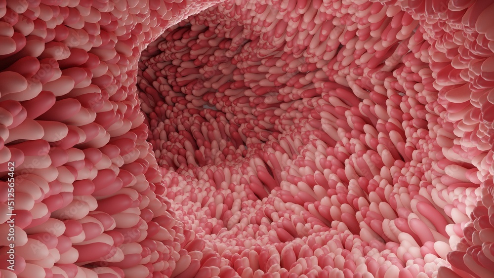 Red microvilli in a intestinal tract.3D Rendering illustration