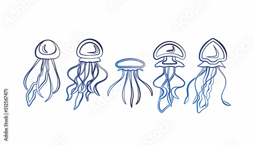Set of blue gradient line jellyfish