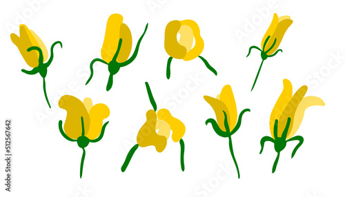 Stylish simple minimalist yellow rose flowers