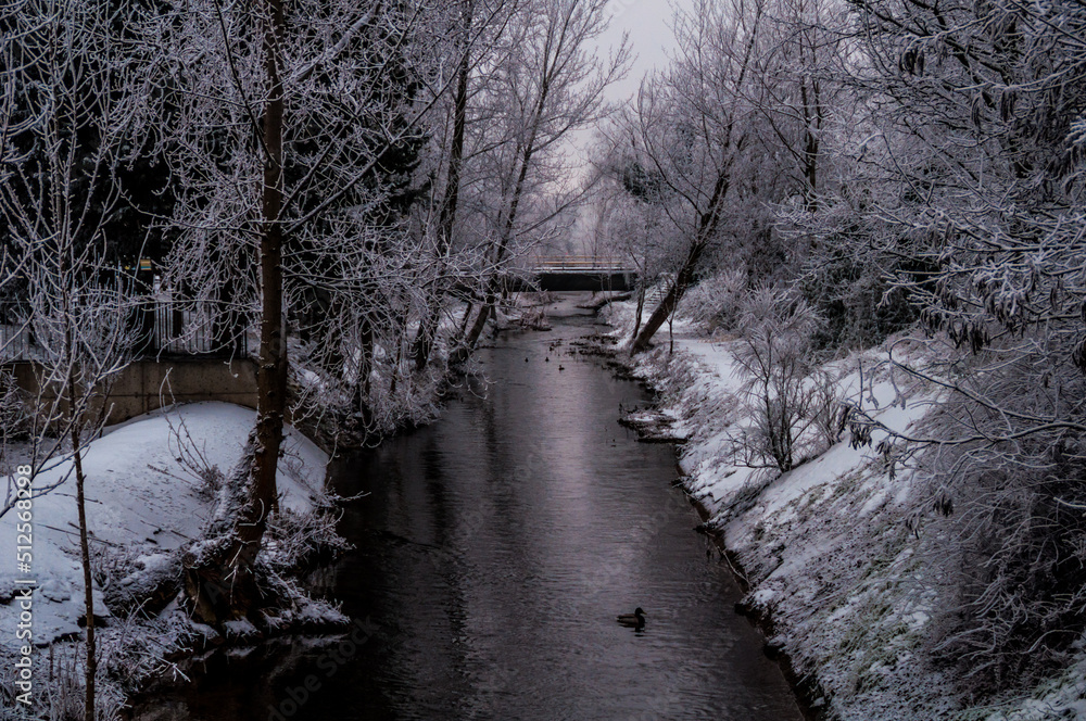 Fototapeta premium Cencellada en Valladolid 
