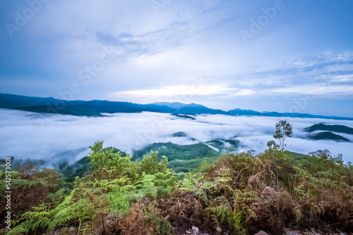 The mist on the mountain, Gunung Silipat in Yala province south Thailand.