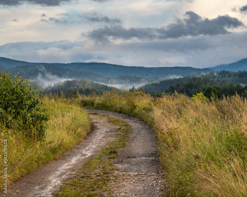 dirt road among grasses and a view of the misty mountains dirt road among grasses and a view of the misty mountains