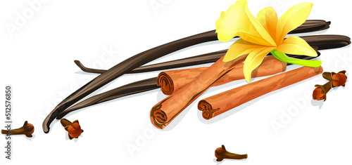 composition of spices - vanilla pods , cinnamon pod and clove grains