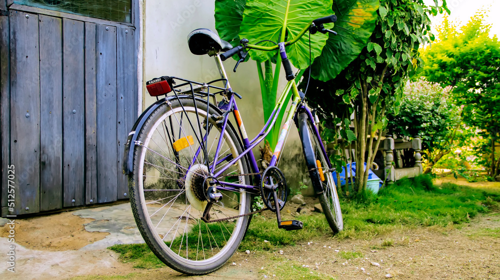 old bicycle parked in front of a house in the park