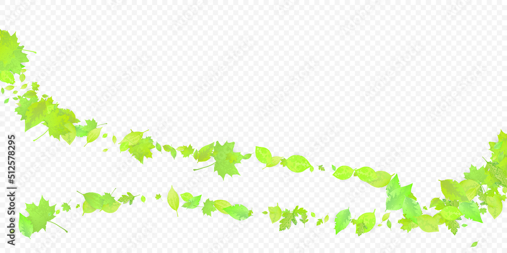 Leaves Falling Spring Flying Foliage Green Leaf Leaves Falling Spring Flying Foliage Green Leaf