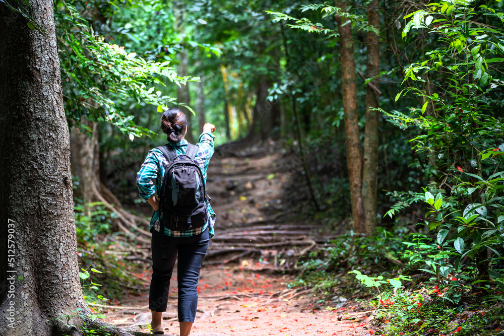 Woman with backpack exploring the beautiful rain forest on Sub madue Petchabun Thailand. Travel and ecotourism concept Woman with backpack exploring the beautiful rain forest on Sub madue Petchabun Thailand. Travel and ecotourism concept