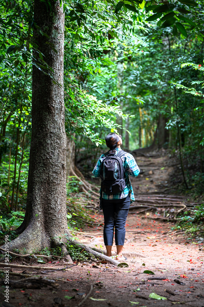 Woman with backpack exploring the beautiful rain forest on Sub madue Petchabun Thailand. Travel and ecotourism concept Woman with backpack exploring the beautiful rain forest on Sub madue Petchabun Thailand. Travel and ecotourism concept