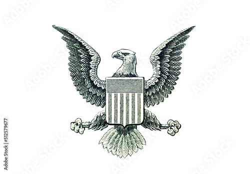 Bald eagle. Image element of one dollar bill or Great Seal of the United States. Eagle without arrows and olive branch.Isolated on white background. Macro