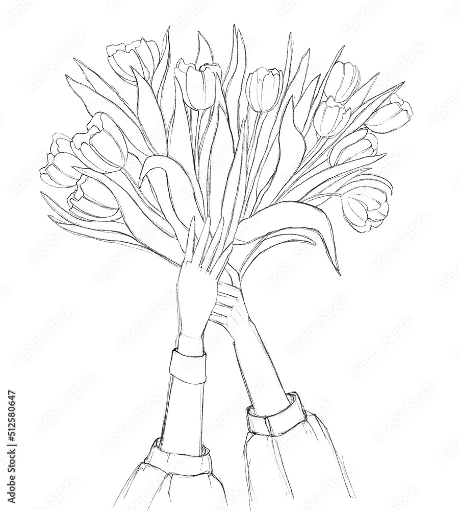 bouquet of flowers. Sketches of illustrations with tulips for postcards. Realistic hand-drawn illustrations. Idea for postcards, posters, logos, avatars, icons. bouquet of flowers. Sketches of illustrations with tulips for postcards. Realistic hand-drawn illustrations. Idea for postcards, posters, logos, avatars, icons.