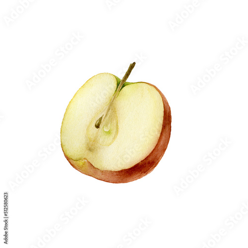 Apple. Botanical watercolor illustration isolated on white