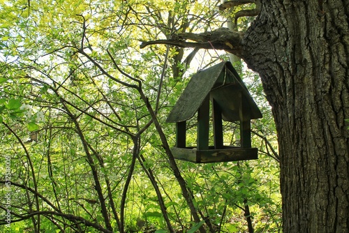 Wooden nest box on a tree in a forest at summer sunny day. Handmade birdhouse, Birdbox on the birch in the park. Spring season migration. Caring and feeding seeds. Environmental nature concept