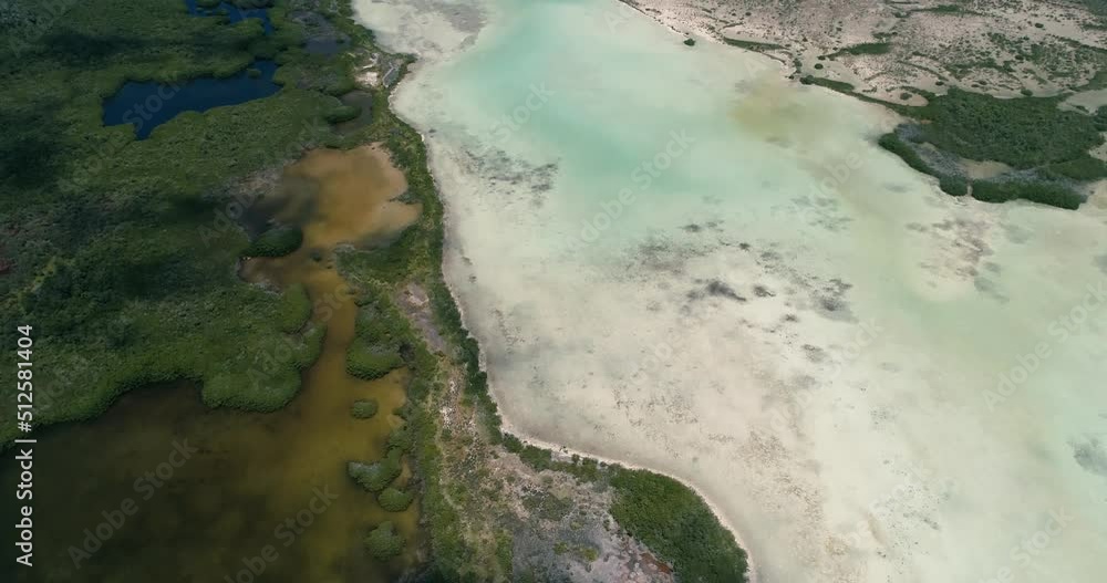 View From Above Mangrove Forest reveal nature reserve, turquoise water and wetland around, los Roques View From Above Mangrove Forest reveal nature reserve, turquoise water and wetland around, los Roques