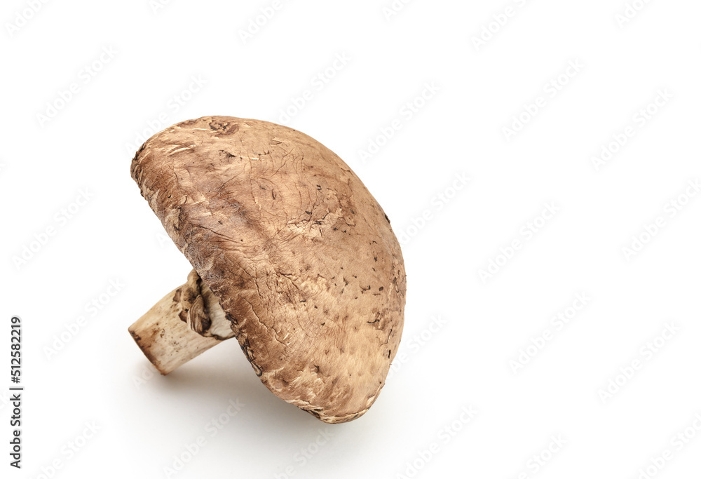 Portobello mushroom on white with copy space Portobello mushroom on white with copy space