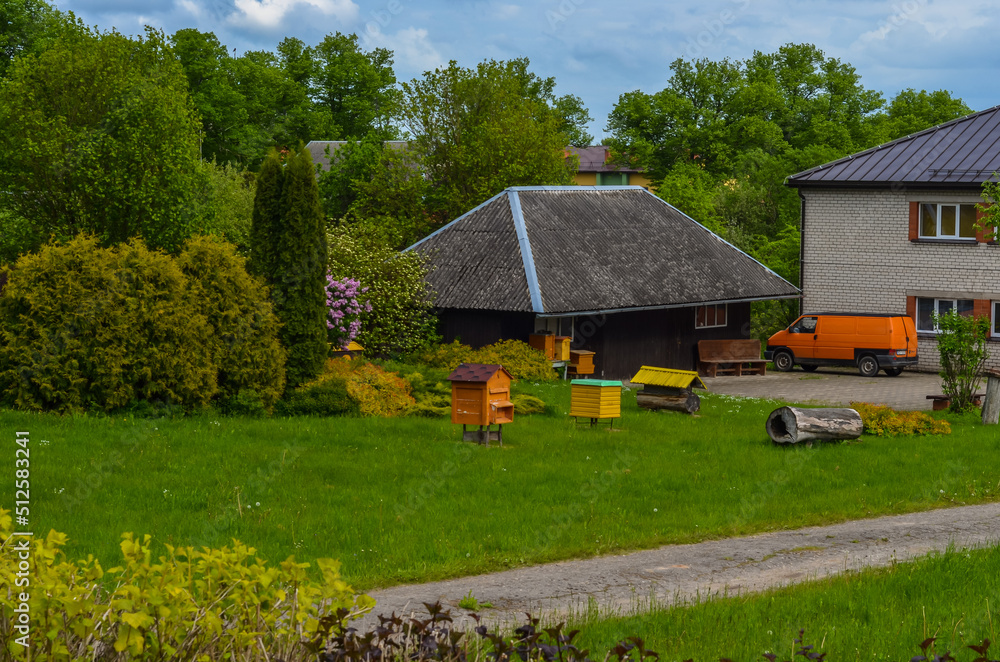 Fototapeta premium rustic streets in latvia in summer8