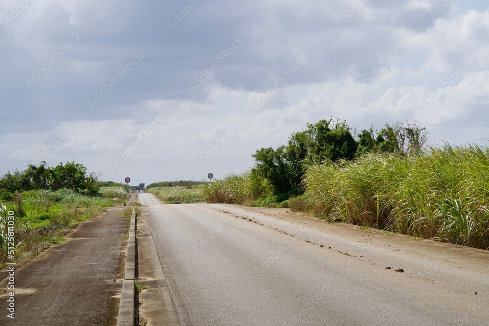 Sugarcane field and straight road on Irabu Island