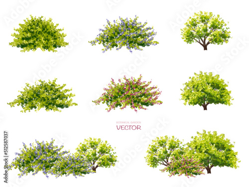Papier peint Vector watercolor blooming flower tree or forest side view isolated on white bac