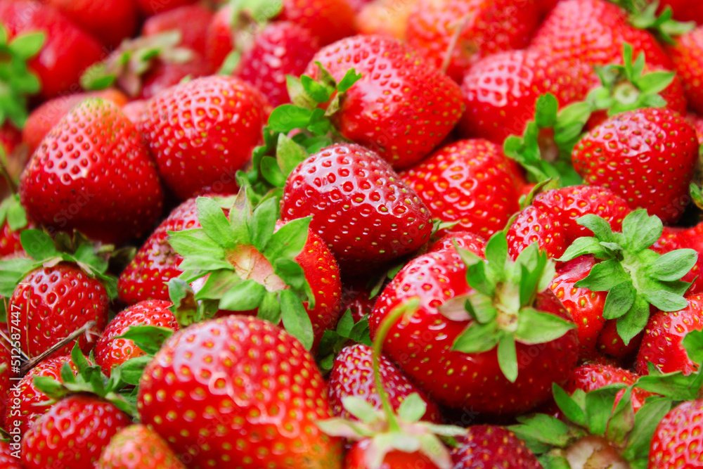 Berries of ripe tasty and sweet strawberry fruit pile Berries of ripe tasty and sweet strawberry fruit pile