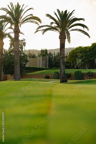 Golf course views at sunset