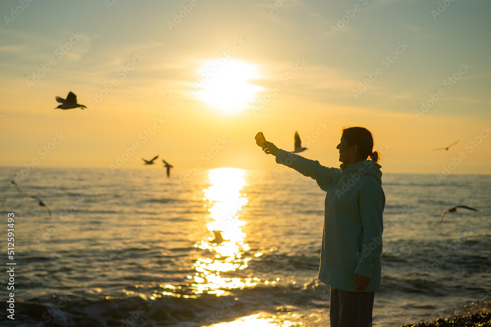 Caucasian woman feeding seagulls on the sea at sunset. 