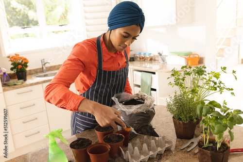 Biracial young woman in hijab putting soil in pot on table at home