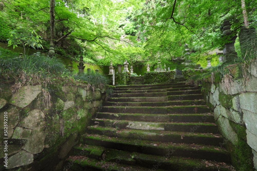 Obraz premium 長学寺 七日市前田家墓所 群馬県 富岡市