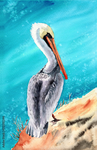 Watercolor illustration of a large white and gray pelican with an orange beak standing on a stone shore against a blue sky