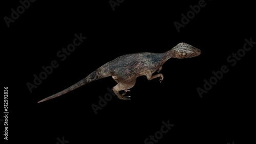 Deinonychus Walk Top View animation.Full HD 1920×1080.6 Second Long.Transparent Alpha video.LOOP. photo