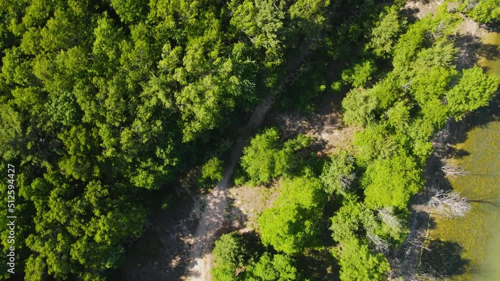 Bird's eye track of lush trees and a trail. Bird's eye track of lush trees and a trail.