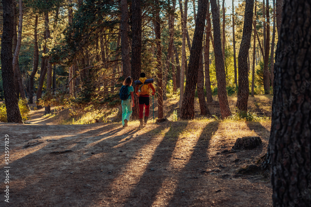 Obraz premium Two hikers walking in forest at sunset