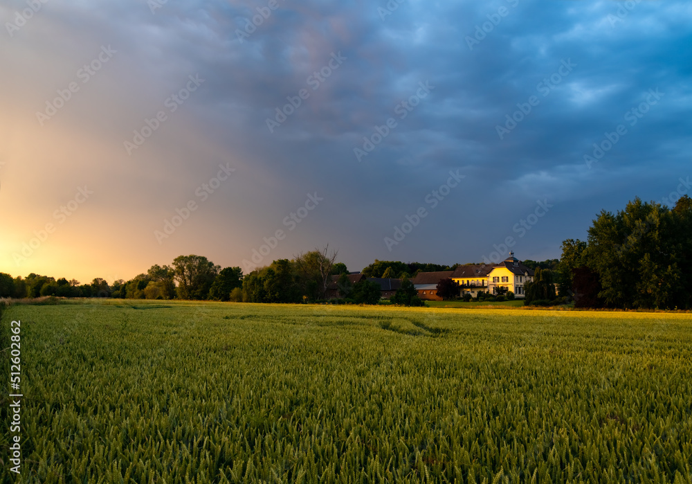 Old farm house in Ruhr valley between Mülheim-Menden and Essen-Kettwig on a summer evening with warm sunlight, cloudy sky and ripe green wheat field. German scenery panorama in rural landscape. Old farm house in Ruhr valley between Mülheim-Menden and Essen-Kettwig on a summer evening with warm sunlight, cloudy sky and ripe green wheat field. German scenery panorama in rural landscape.