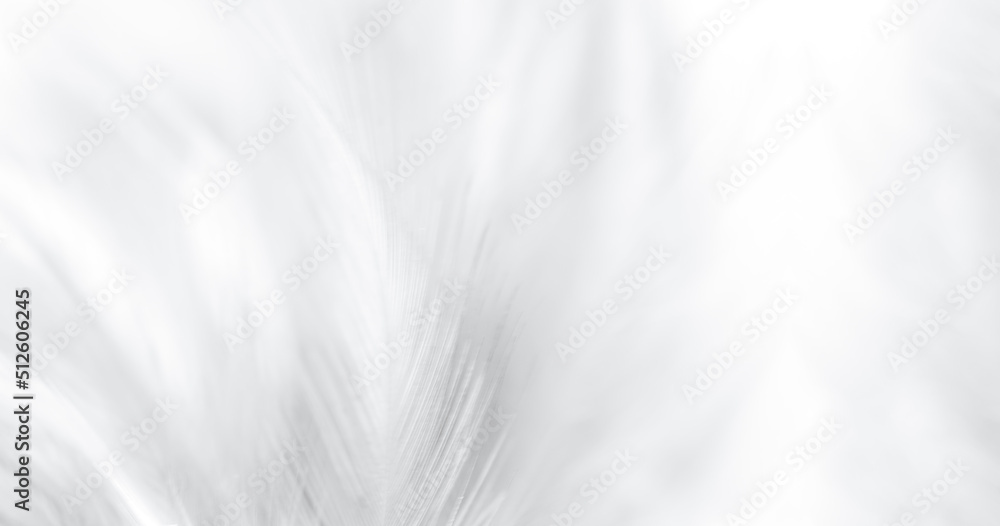 Obraz premium white feather texture,white feather texture background