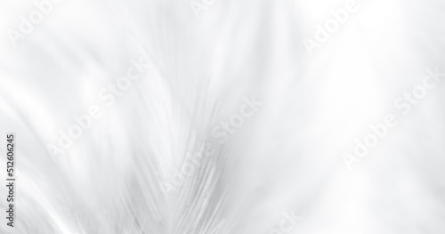 white feather texture,white feather texture background