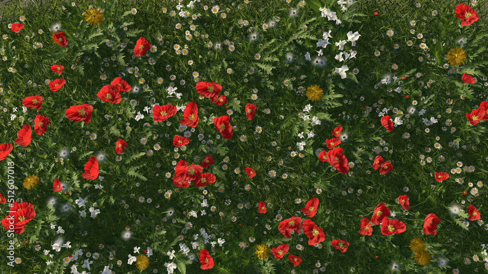 Blooming poppy fields of flowers at sunset. Red poppy flowers in the green grass in summer. 3d render