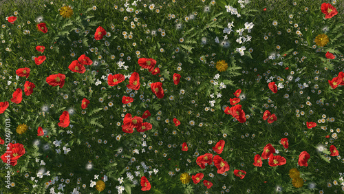 Blooming poppy fields of flowers at sunset. Red poppy flowers in the green grass in summer. 3d render