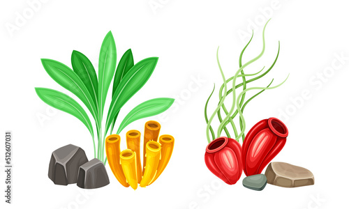 Underwater marine plants and stones set. Aquarium seaweeds cartoon vector illustration
