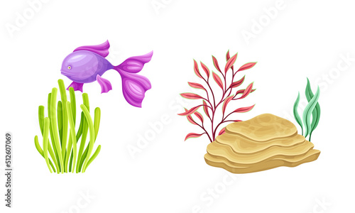 Underwater sea plants and fish set. Algae seaweeds, aquarium flora and fauna cartoon vector illustration