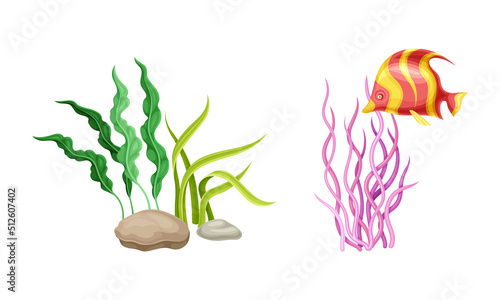 Underwater marine plants and fish. Algae seaweeds, aquarium flora and fauna cartoon vector illustration