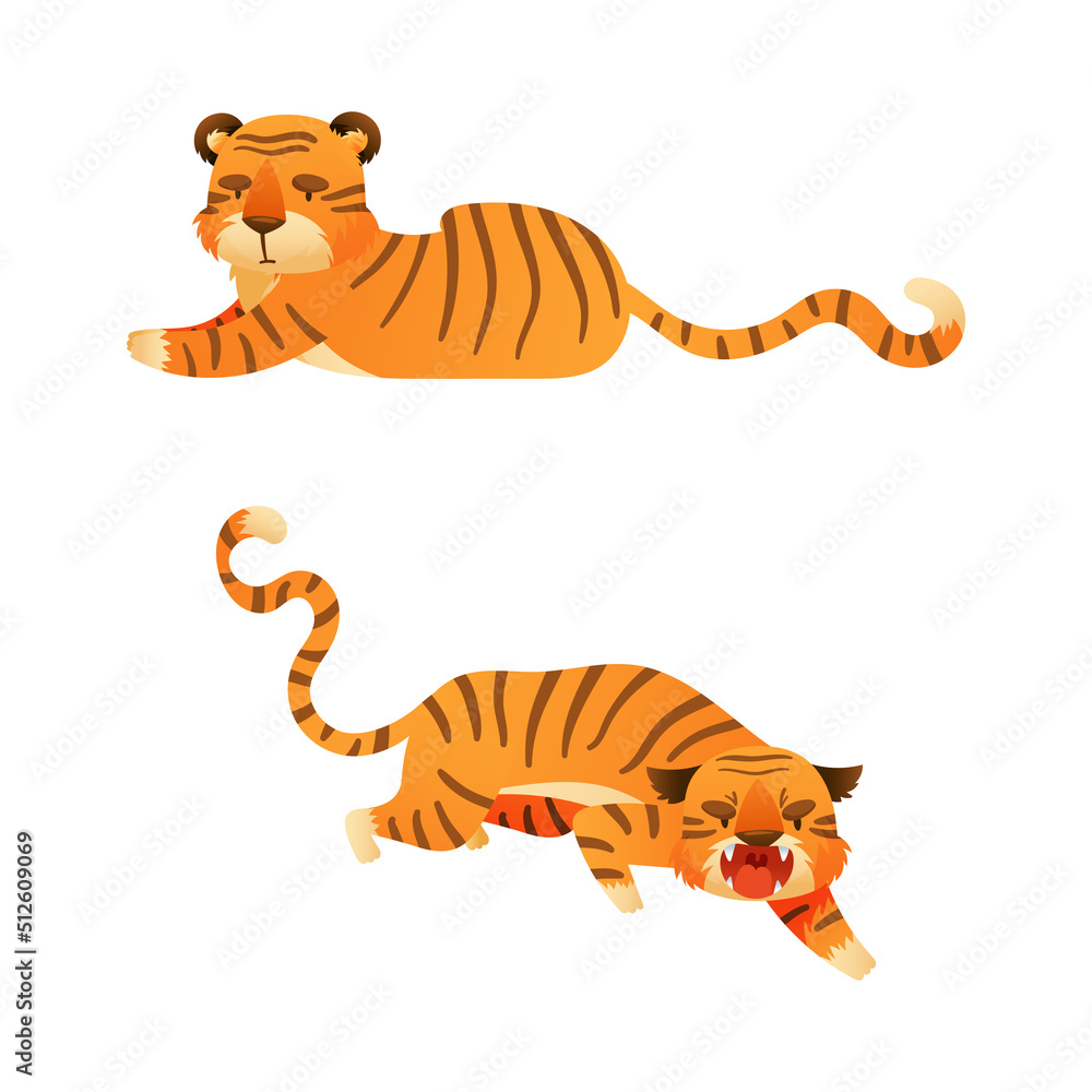 Cute tigers set. Furious and relaxed wild jungle predator animal cartoon vector illustration