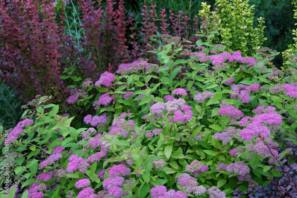 Natural ecological flower and plant design Natural ecological flower and plant design