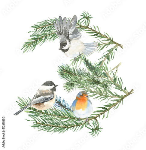 Watercolor bird on fir tree,berry branch Christmas illustration. Woodland winter forest nursery decoration for greeting card, poster, invitation, baby shower Merry Christmas,New Year print, sticker © Catherine