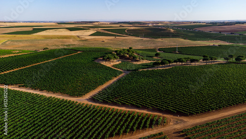 Photos VIÑEDOS y sus formas a vista de pájaro.