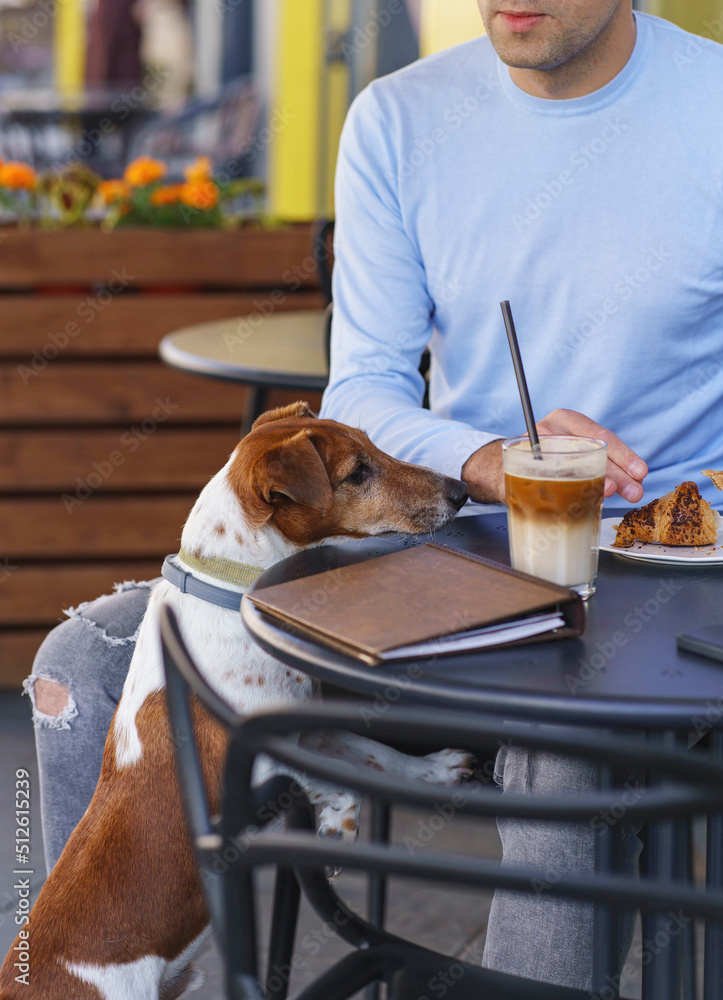 Dog friendly cafe and restaurant. Street cafe coffee break with dog